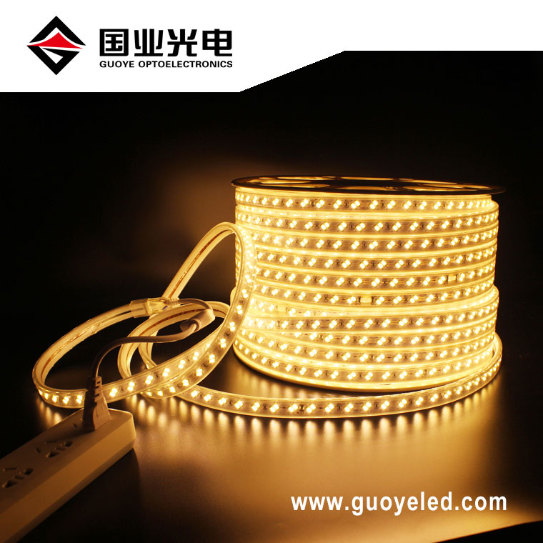 tira de luz led 110v 220v