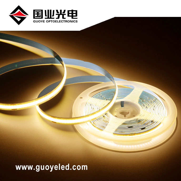 raya led mazorca