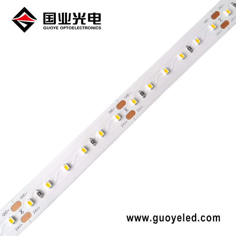 Tira de LED SMD 2216